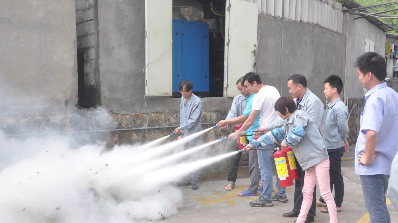 CompanyActivity